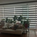 올림픽훼미리아파트 이미지