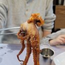 소문난대구왕뽈찜 이미지