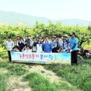 일손개발 이미지