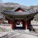 불회사 입구주차장 Daum카페