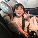 아이(I)세탁 | 주니어 카시트 추천 폴레드 볼픽스 i-Size 후기