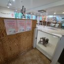 리즈멍 | 송파 애견미용 살롱드위드멍, 10살 말티즈 베이비컷으로 리즈 갱신한 후기