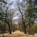 인성목장 이미지