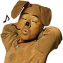 웰시쿠키