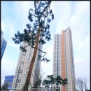 오이공인중개사사무소 이미지