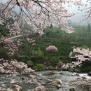 지리산막내딸