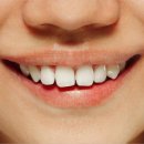 본치과기공소 이미지