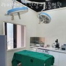 라이언펫 수원광교동물병원 이미지