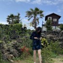 소다라하우스 | 사계해변 제주도 감성숙소 에어비앤비 소다라하우스 솔직후기