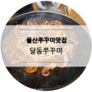 달동쭈꾸미 네이버블로그