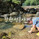 성흥사 티스토리