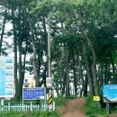 GS25남해송정점 이미지