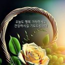 5월 22일 월요일 아침인사 이미지