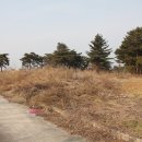 학산3리 이미지