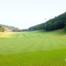 파미힐스 컨트리클럽 이미지