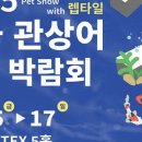 경기 관상어 이미지