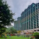 애견클럽 이미지