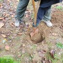 제일무도장 | 각파이프 난간대 용접 시공 업체 휀스 비용