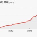 작전주 낙인 찍힌 종목들의 고민 “기업 홍보활동 하긴 해야 하는데” 이미지