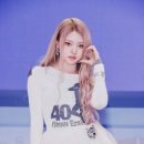 와우키키 노컷뉴스