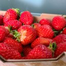 연곡농장 이미지