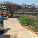 태양종계장 이미지