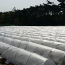 나래농장2 이미지