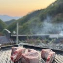 굿모닝오토랜드 | [캠핑장] 가평 오토캠핑장 가평랜드 후기 | 애견동반 서울근교 차박 캠핑