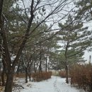 홍주의사총 주차장 이미지