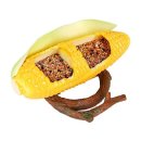 잉꼬가든 이미지