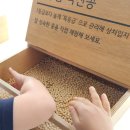 충북아빠단 체험활동ㅣ풀무원 음성 두부공장 견학 후기!