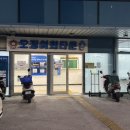 막끌리 | 울릉도 오징어회맛집 오징어회타운 가격 직접 오징어회 사서 먹어 본 내돈내산 후기