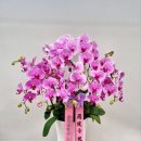 천호대로 213길 이미지