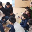 세성초 이미지