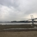 안면도힐링캠핑장 이미지