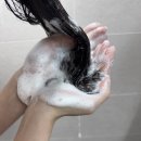 주식회사 비전바이오케어 | '카론바이오' 두피샴푸 추천, 약산성샴푸로 두피케어 제대로 해본 후기