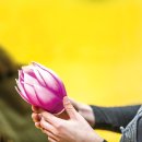 최고의 밥상 이미지