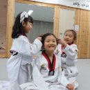 로운태권도 이미지