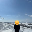 수민목장 이미지