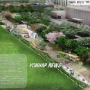 수내역 보행자도로 이미지