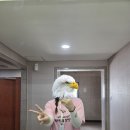 양금농장 | [전주세계소리축제] 소리천사 발대식 및 활동 일지