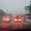 원마루시장 | [청주 분평동 원마루시장 근처] 하나비초밥 점심특선 솔직후기 🍣☔