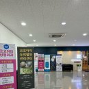 코코아이성형외과의원