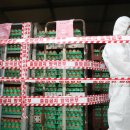 바른농장계란 이미지