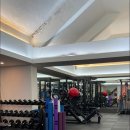 더 스탠다드 짐 이미지