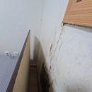 신림동-7 | [7/20] 관악구 신림동 원룸 야간도배 후기