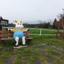 아침에 신선목장 이미지