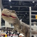 개코 | 마곡 코엑스 공룡 파충류 박람회 아들이랑가서 실망한 후기 (feat. 개코박람회)