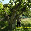 지인농장2 이미지