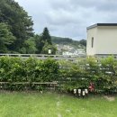 건행펜션 이미지